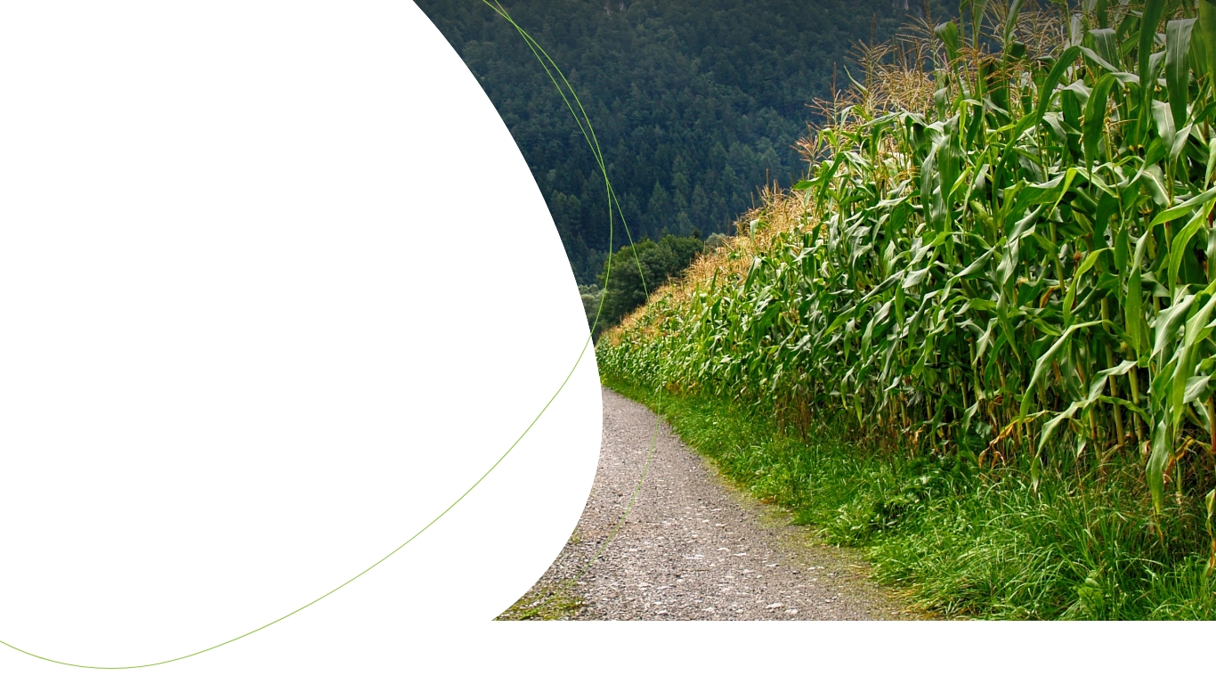 slide_02
