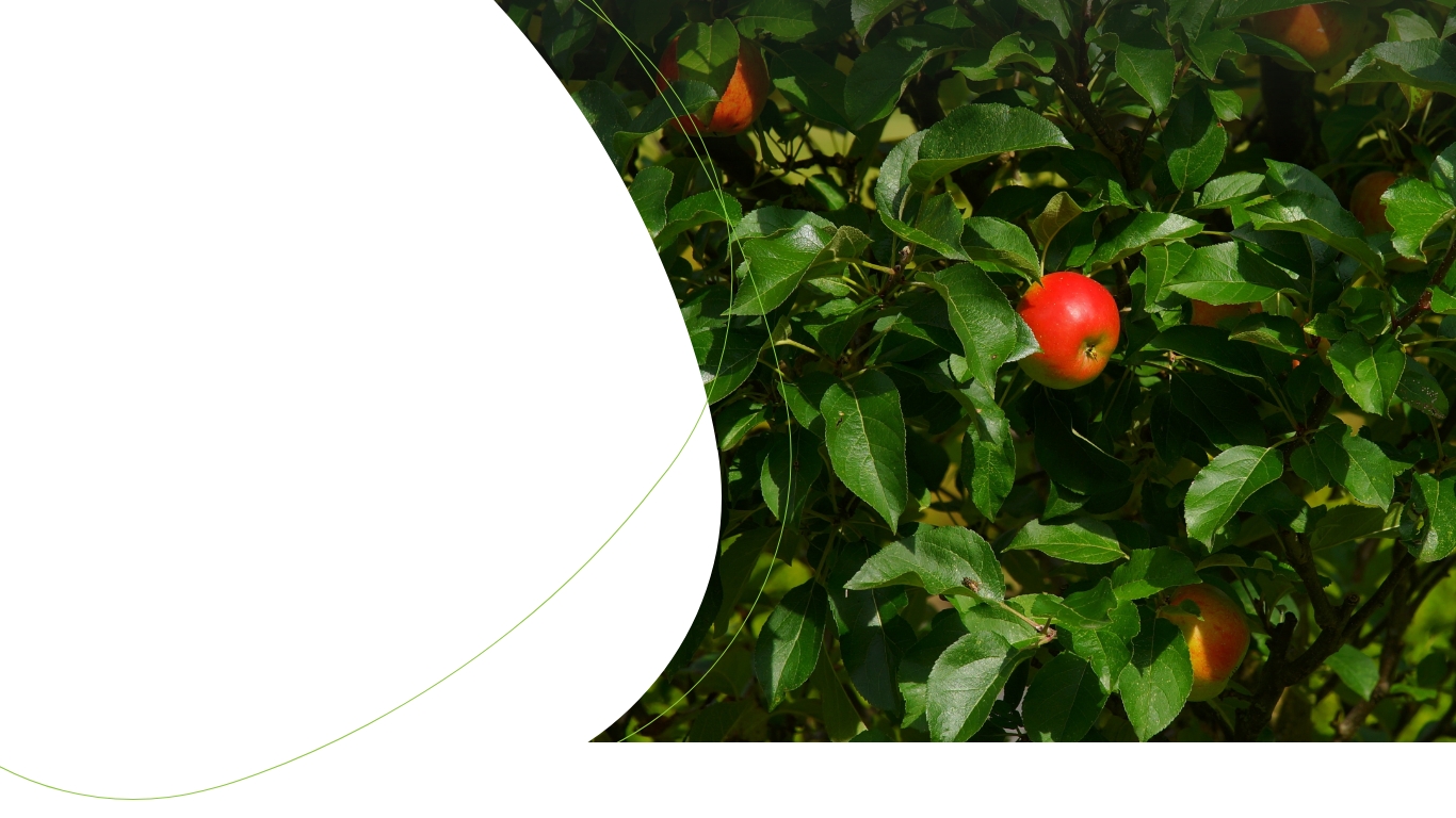 slide_03