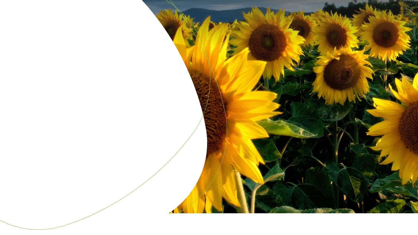 slide_05